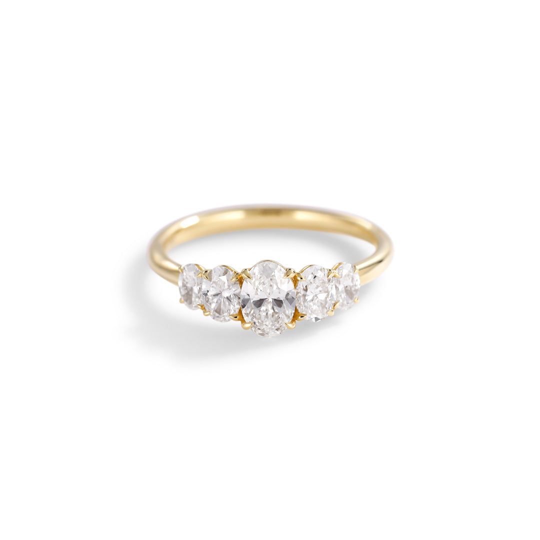 Graduerende oval 5-stens ring - i alt 1,00 ct.