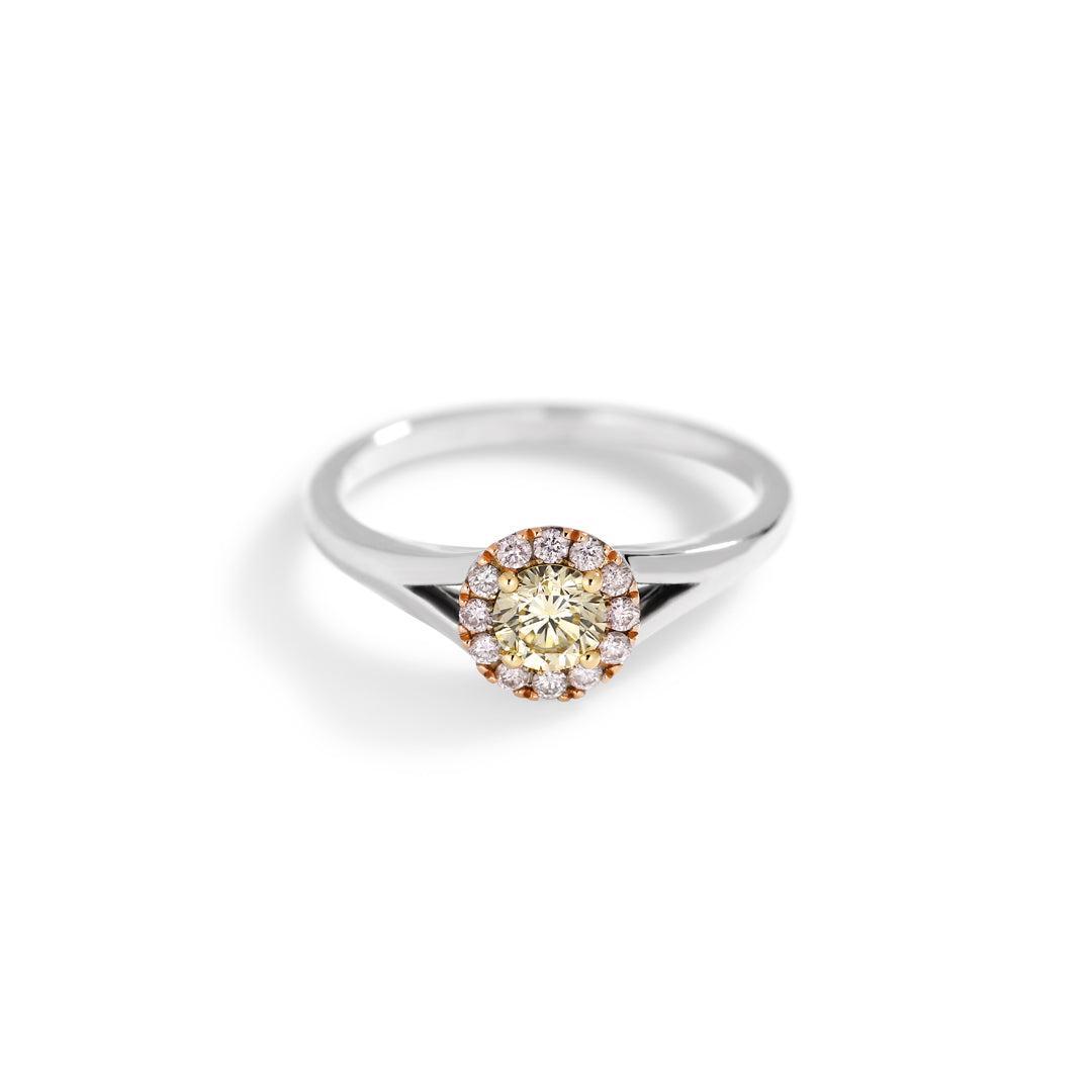 Haloring i hvidguld med 0,33 ct. fancy yellow & light pink diamanter