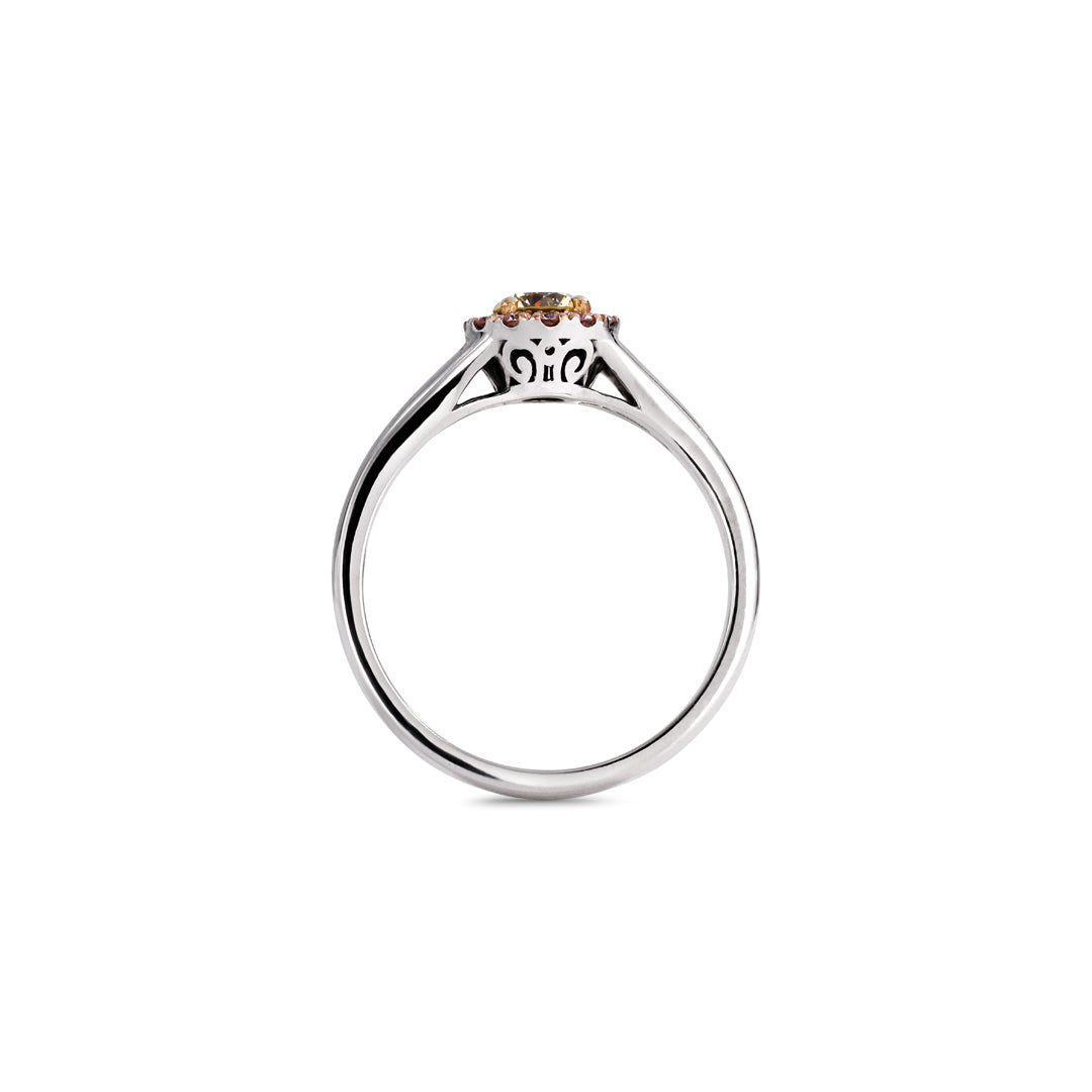 Haloring i hvidguld med 0,33 ct. fancy yellow & light pink diamanter