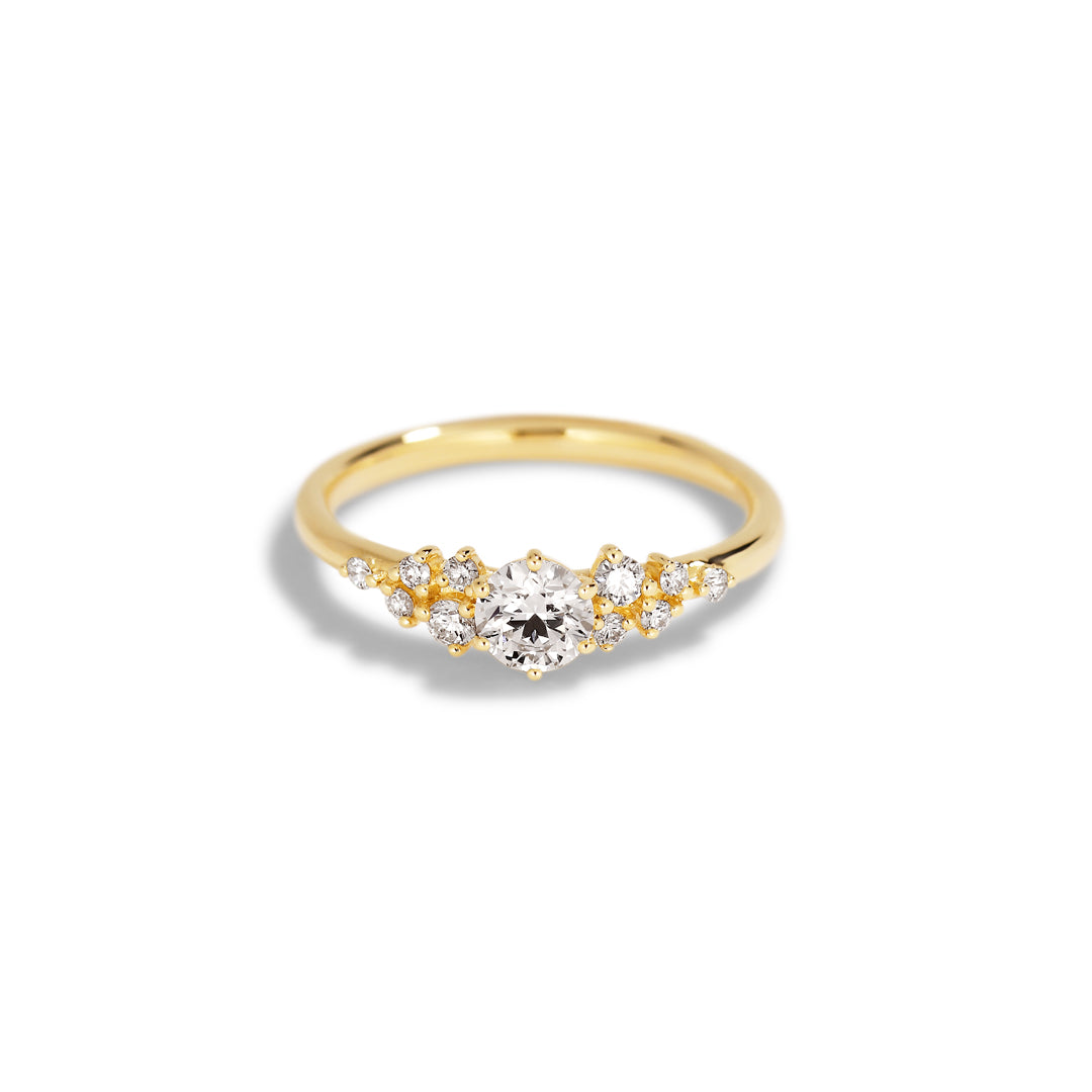World Wide Favorite med 0,40 ct.