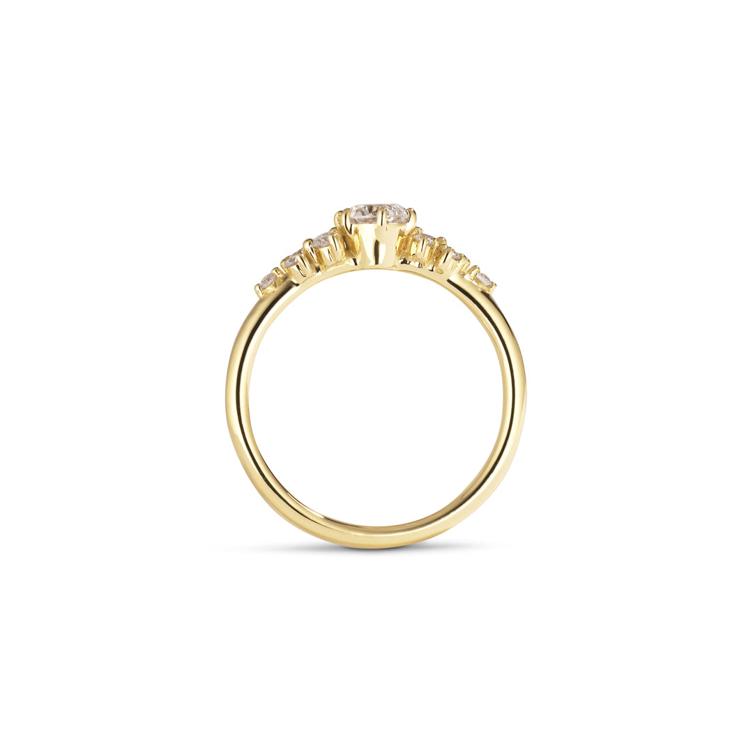 World Wide Favorite med 0,40 ct.