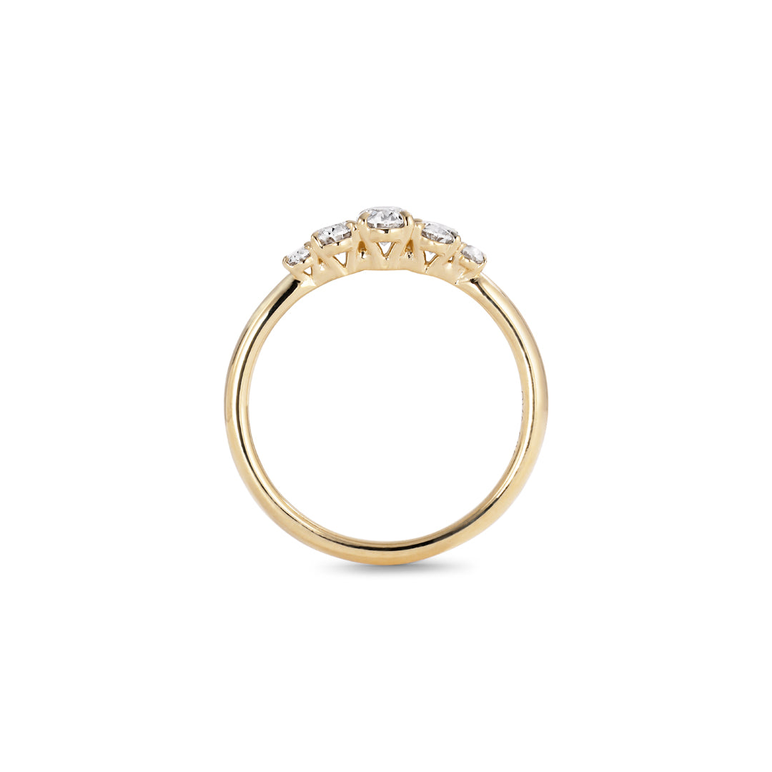 Graduerende oval 5-stens ring - i alt 0,55 ct.