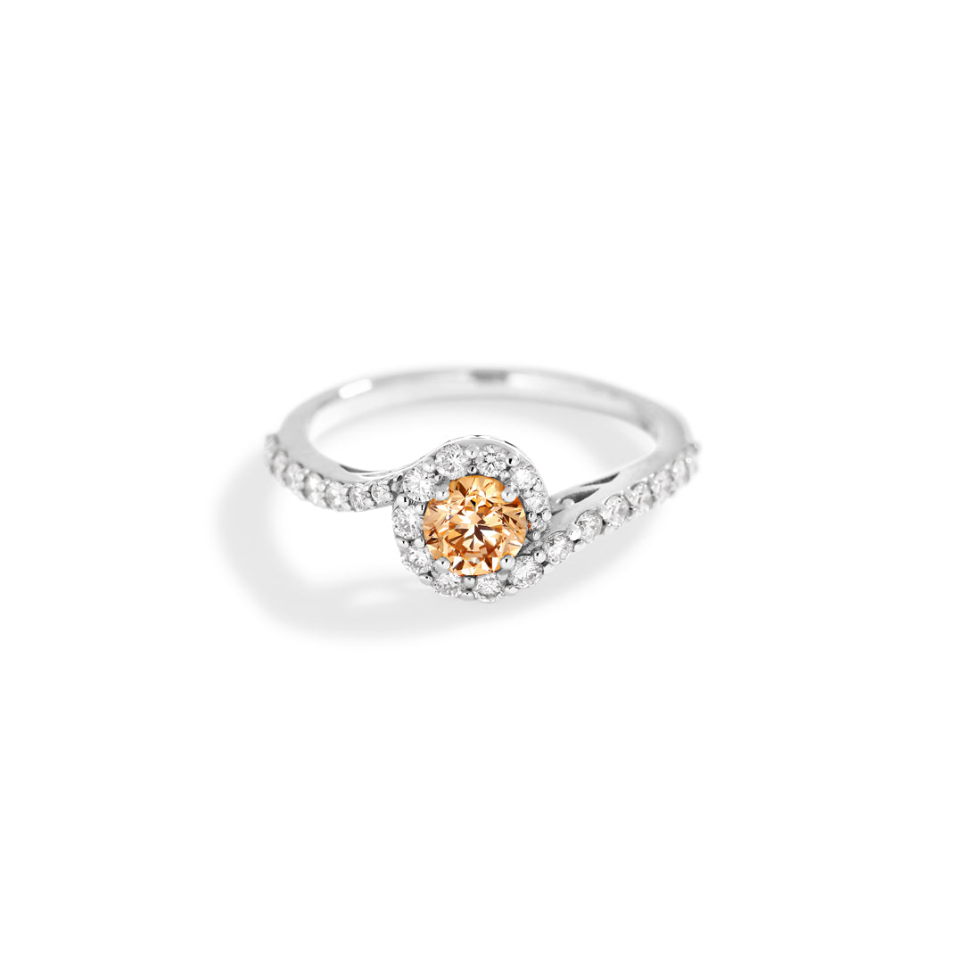 Curve haloring i hvidguld med 0,50 ct. champagne