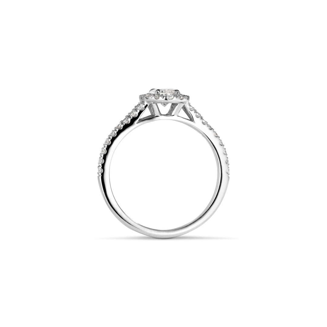 Haloring i hvidguld med 0,50 ct. oval - splittet ringskinne