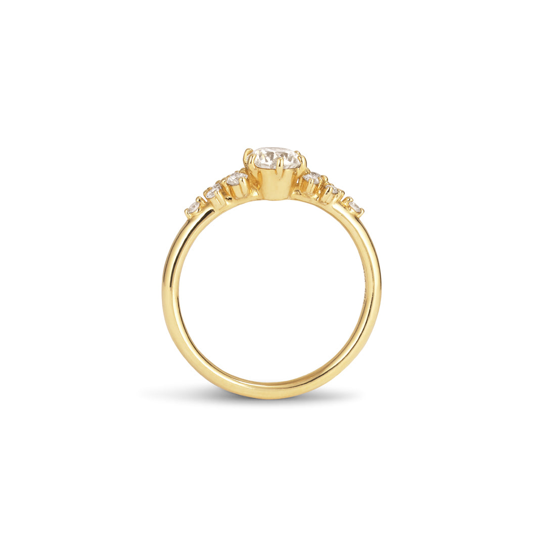 World Wide Favorite med 0,50 ct.