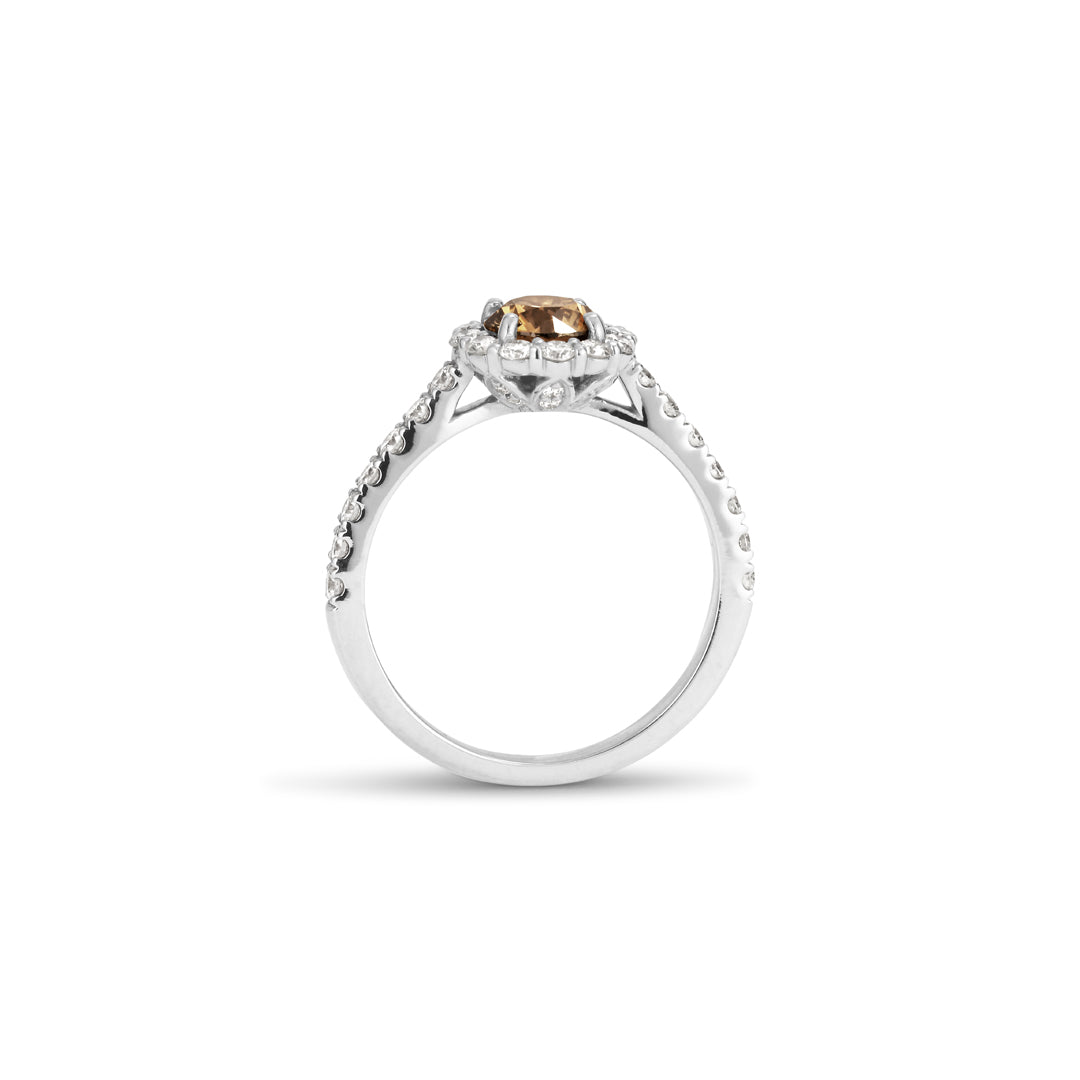Flower haloring i hvidguld med 0,70 ct. champagne