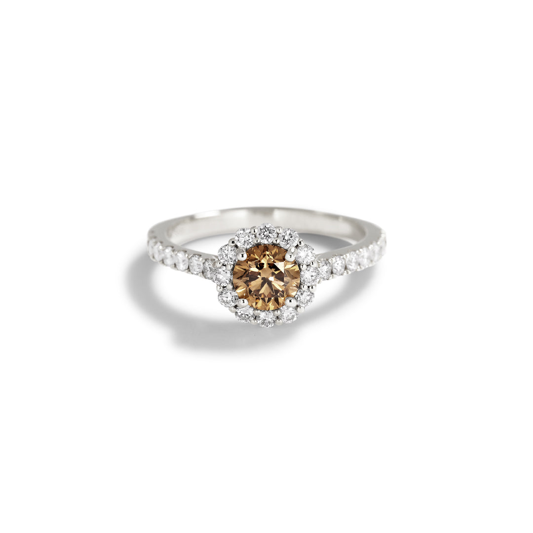 Flower haloring i hvidguld med 0,70 ct. champagne