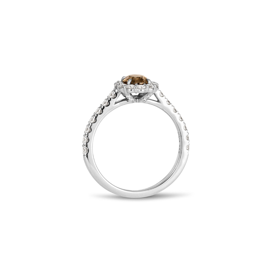 Flower haloring i hvidguld med 0,75 ct. oval champagne
