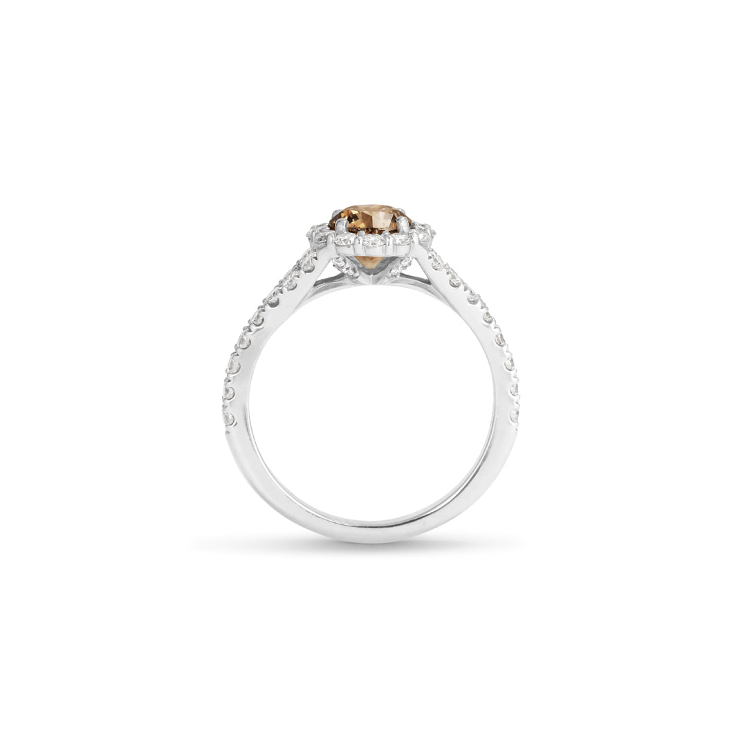 Flower haloring i hvidguld med 0,75 ct. champagne - splittet ringskinne